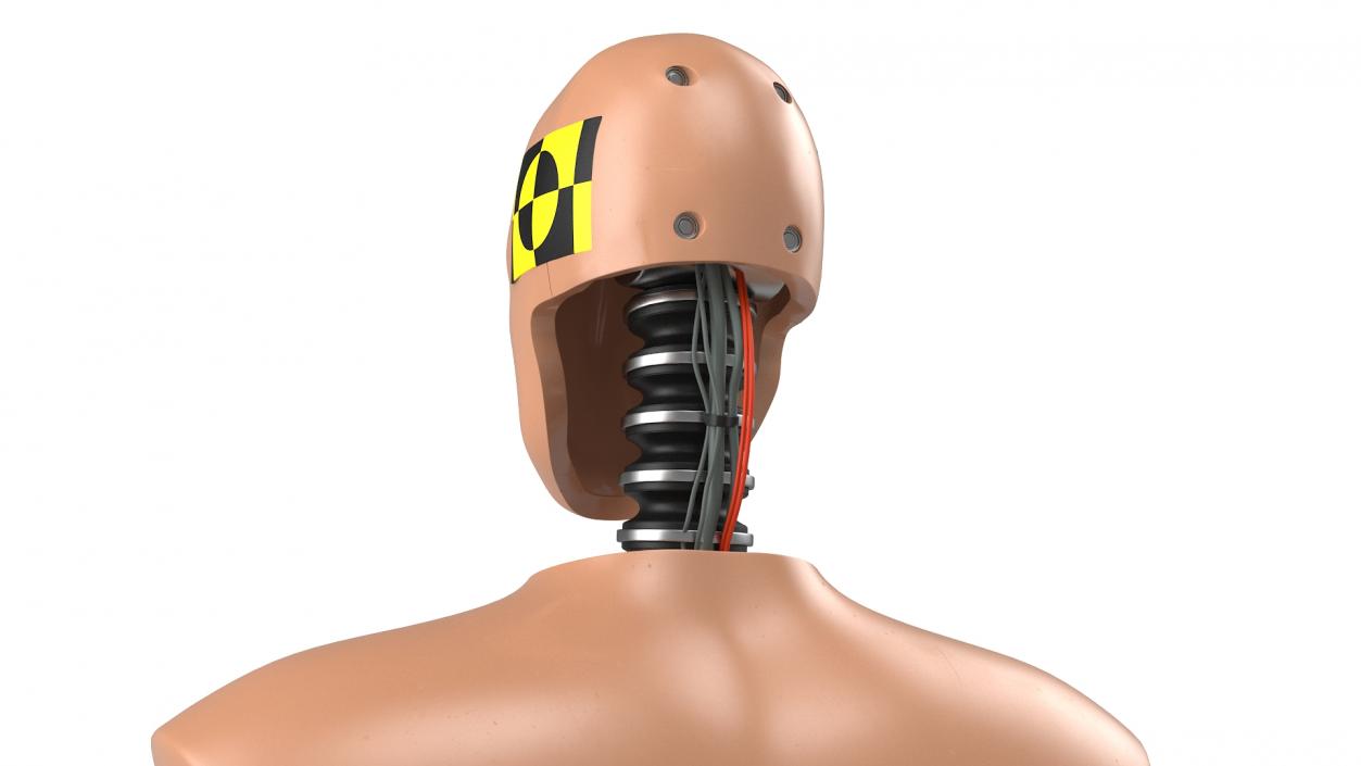 Humanoid Crash Test Dummy Rigged 3D