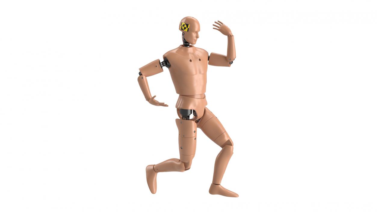 Humanoid Crash Test Dummy Rigged 3D