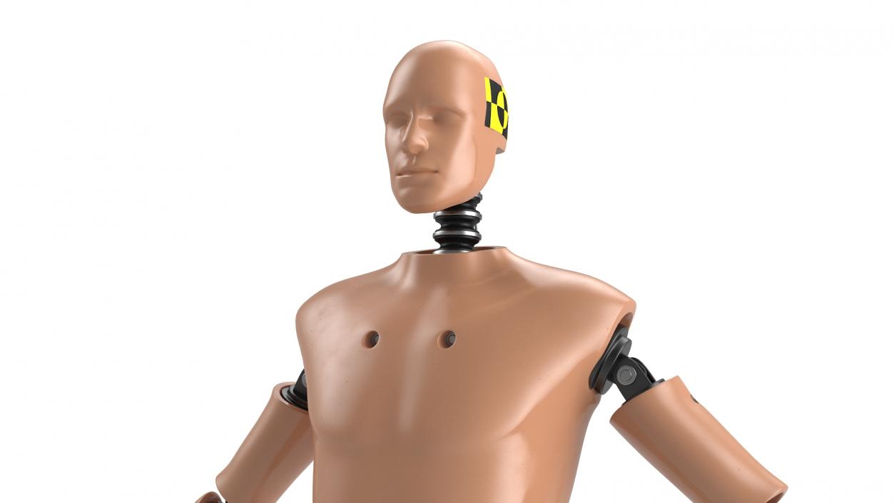 Humanoid Crash Test Dummy Rigged 3D