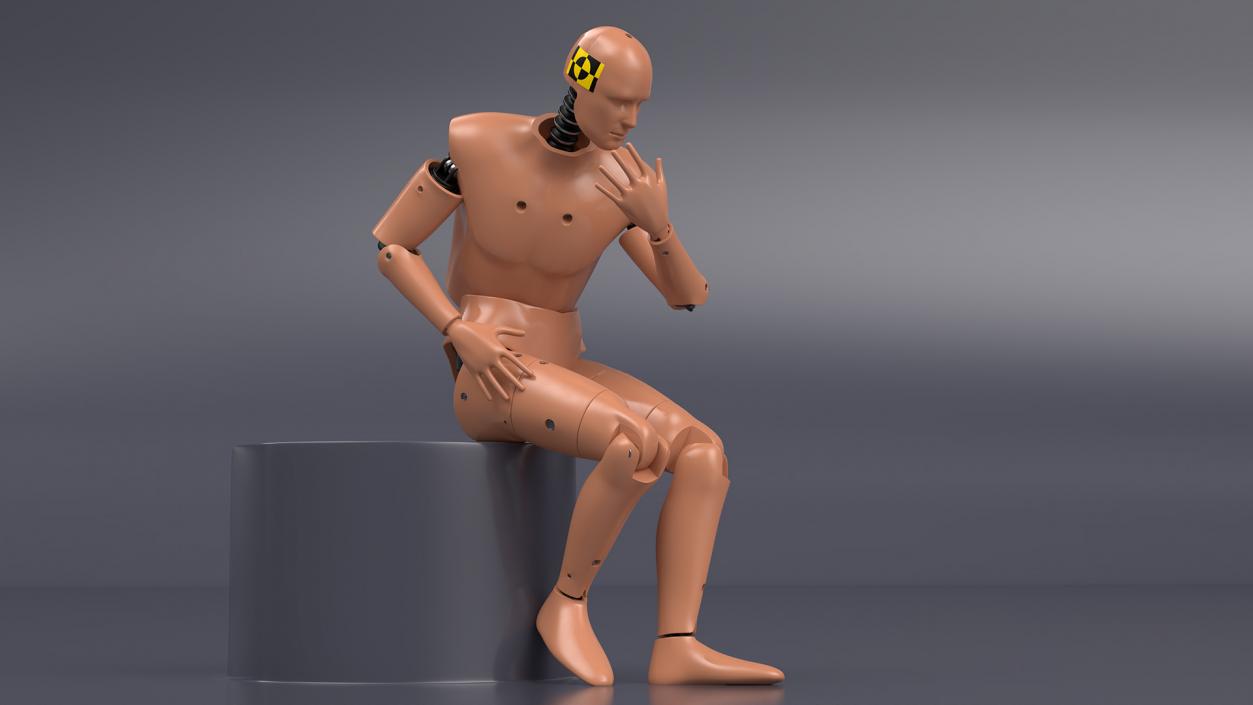 Humanoid Crash Test Dummy Rigged 3D