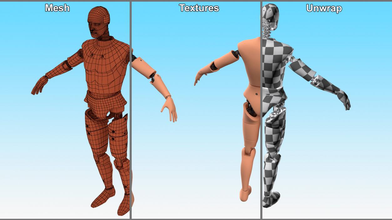 Humanoid Crash Test Dummy Rigged 3D