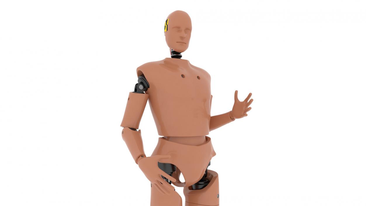 Humanoid Crash Test Dummy Rigged 3D