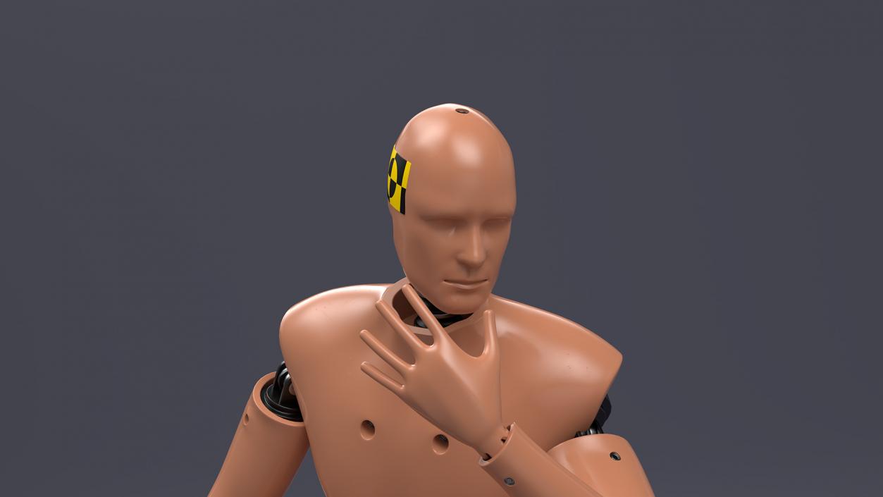 Humanoid Crash Test Dummy Rigged 3D