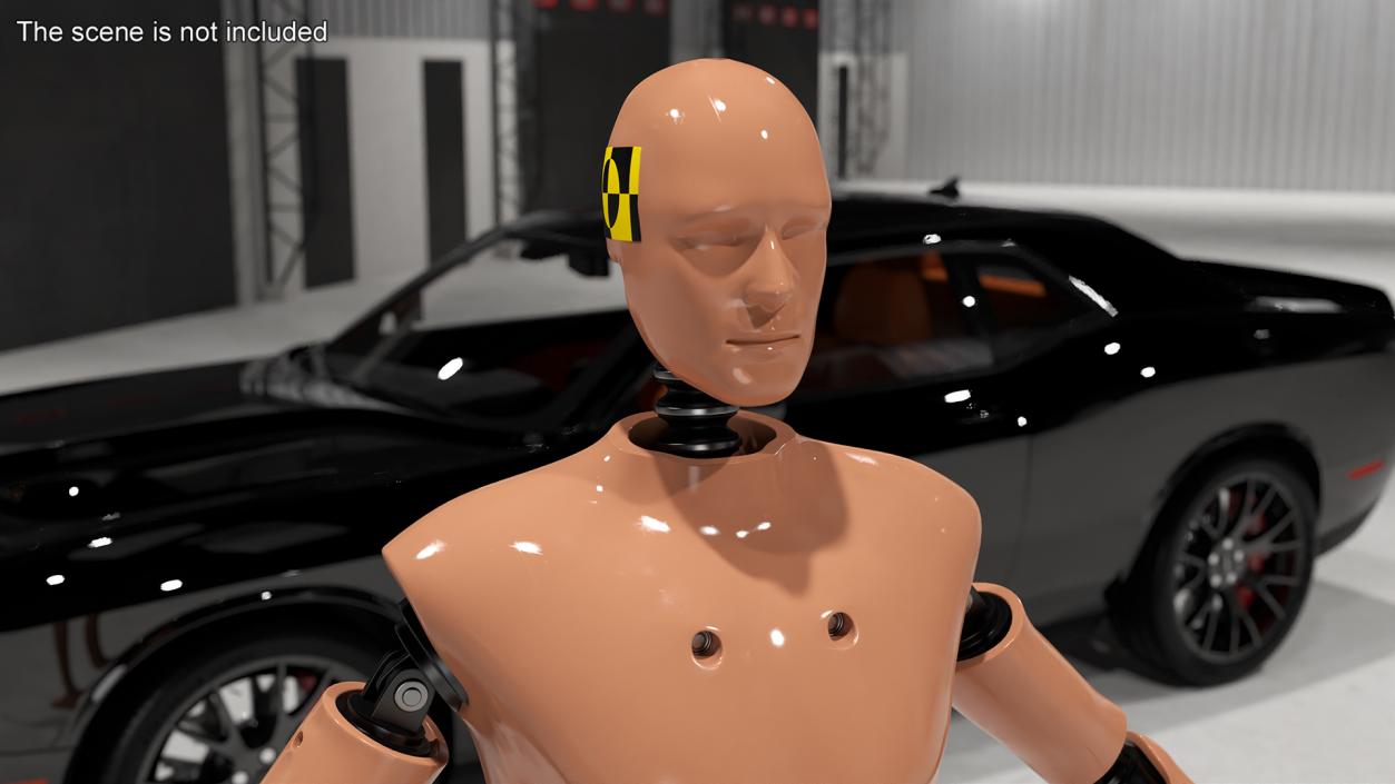 Humanoid Crash Test Dummy Rigged 3D