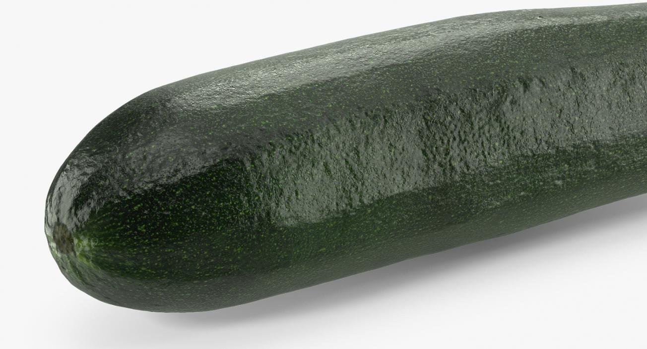 Zucchini Collection 3D model