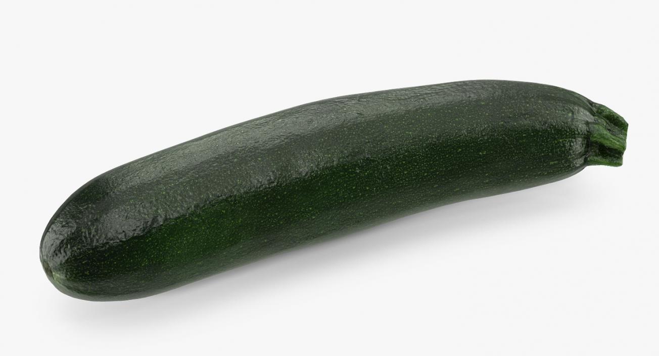 Zucchini Collection 3D model