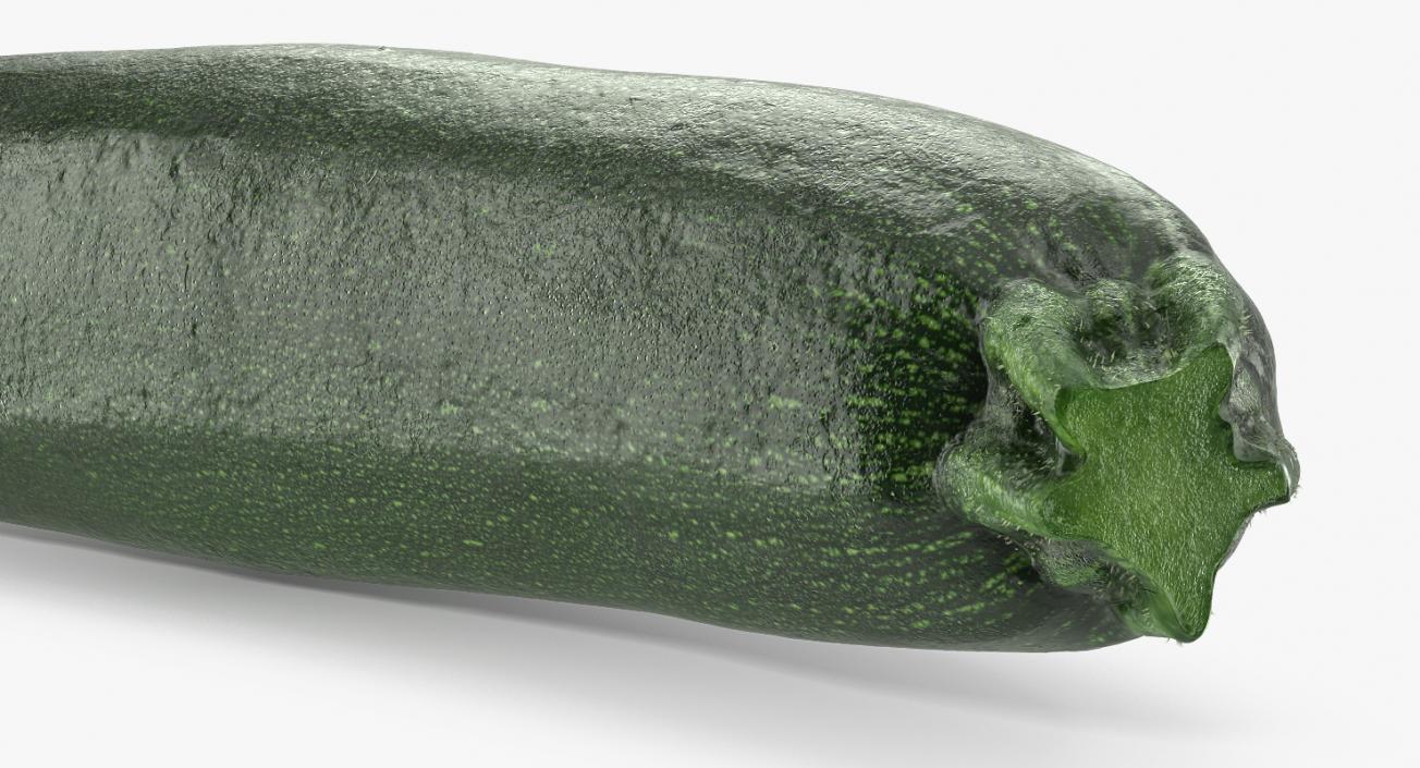 Zucchini Collection 3D model