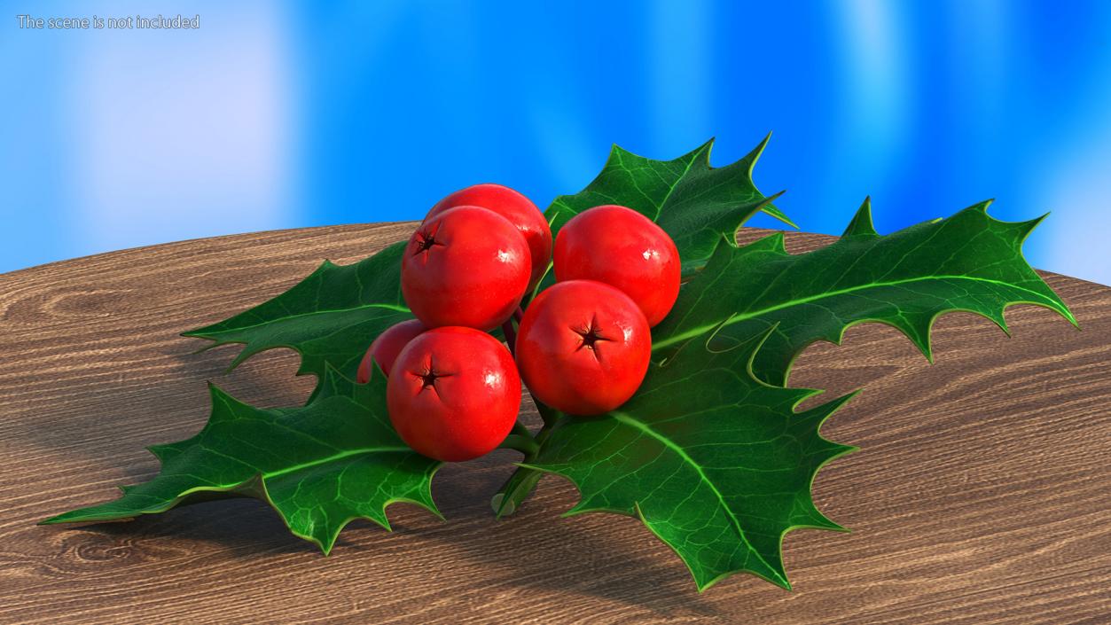 Christmas Decoration Sprig Holly 3D