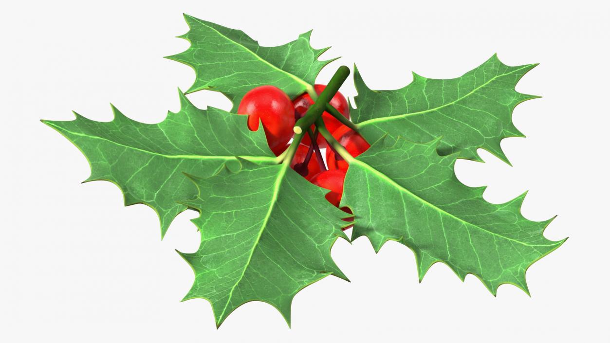 Christmas Decoration Sprig Holly 3D