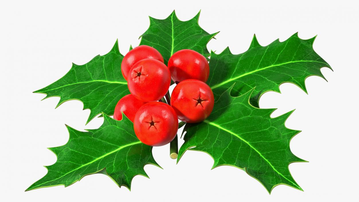 Christmas Decoration Sprig Holly 3D