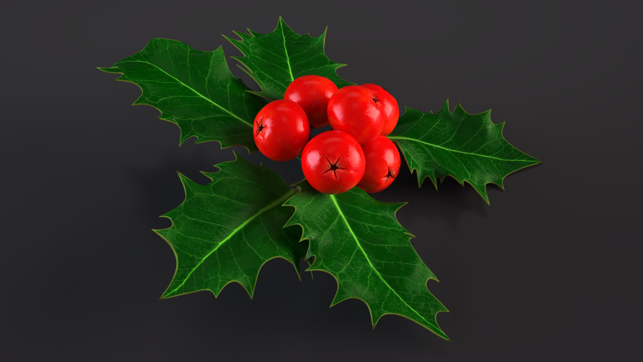 Christmas Decoration Sprig Holly 3D