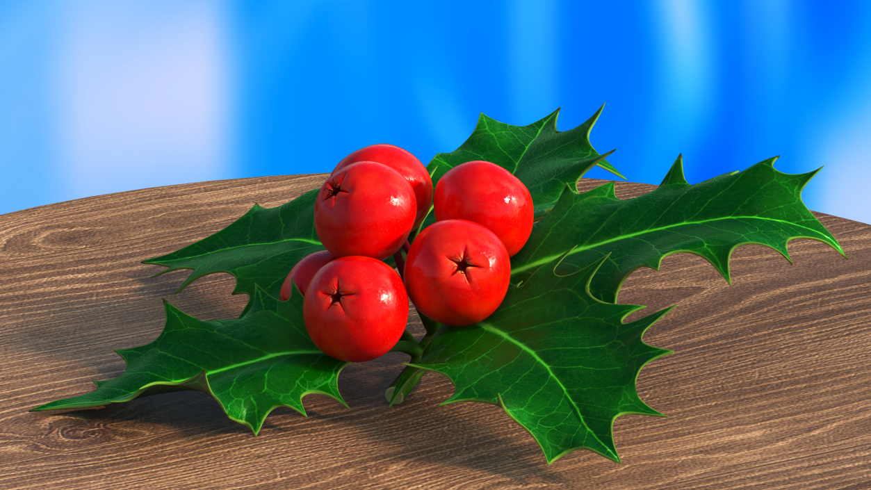 Christmas Decoration Sprig Holly 3D