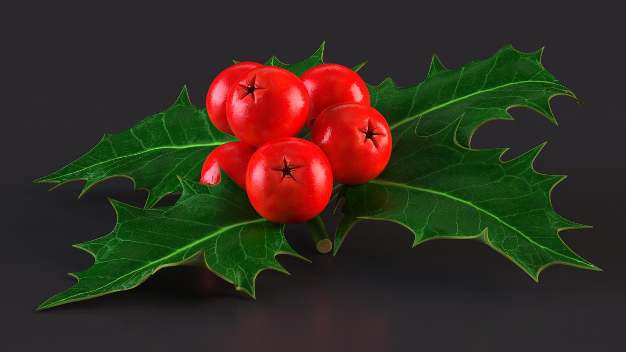 Christmas Decoration Sprig Holly 3D