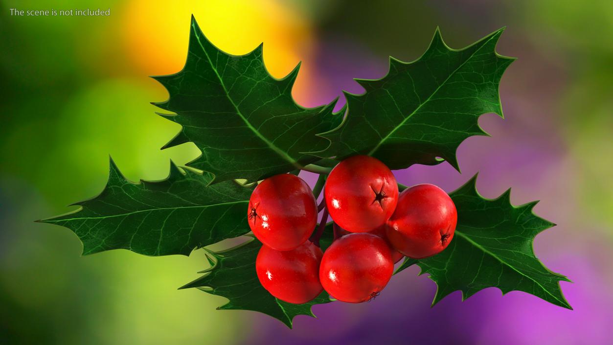 Christmas Decoration Sprig Holly 3D