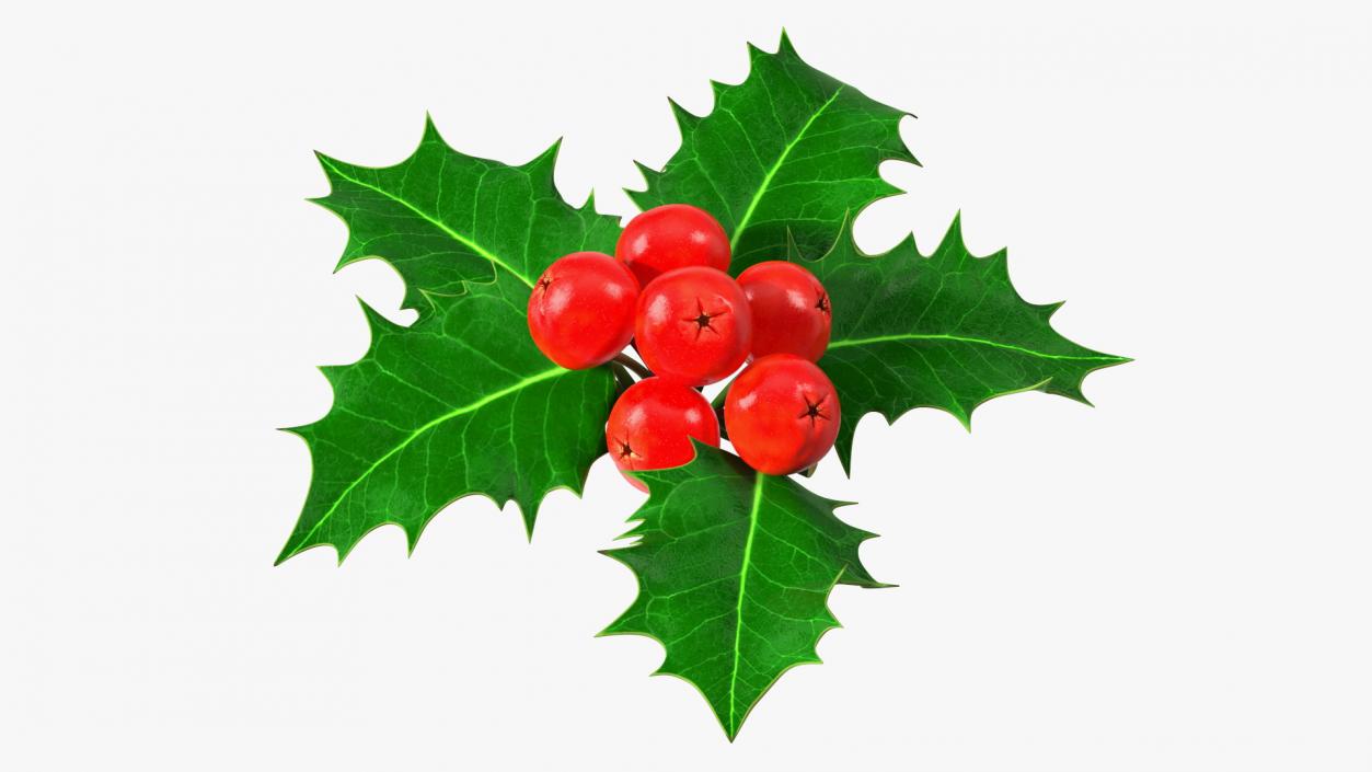 Christmas Decoration Sprig Holly 3D