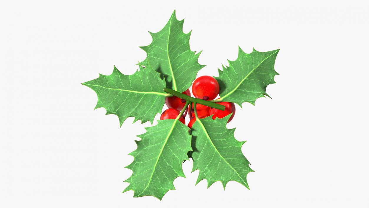 Christmas Decoration Sprig Holly 3D