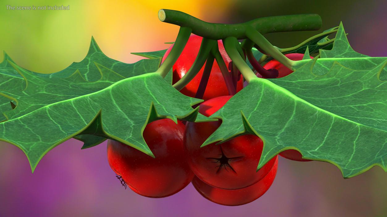 Christmas Decoration Sprig Holly 3D