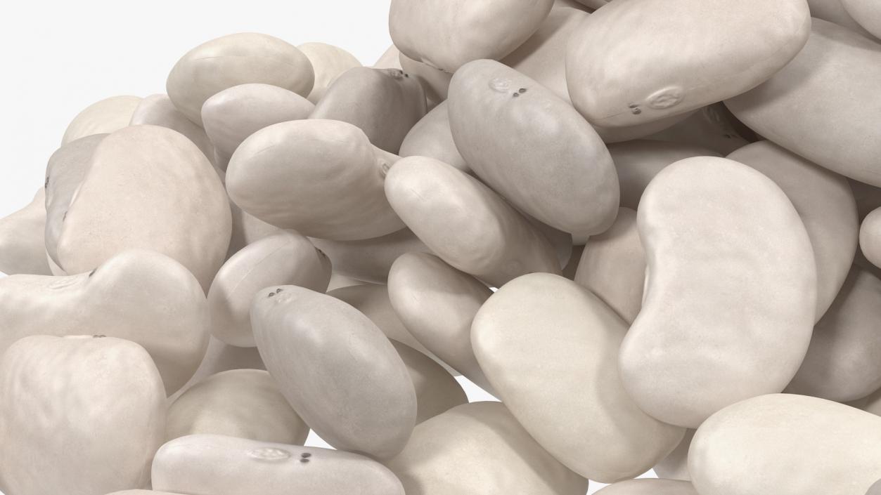 White Pea Bean Pile 3D model