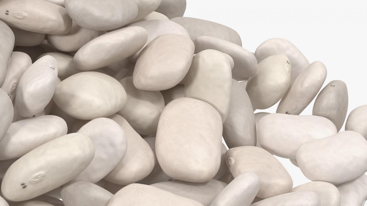 White Pea Bean Pile 3D model