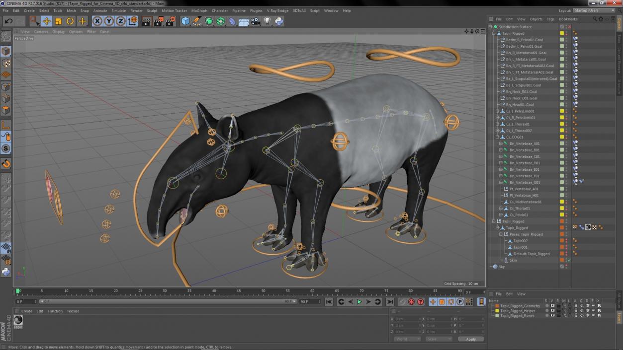 3D Tapir Rigged for Cinema 4D