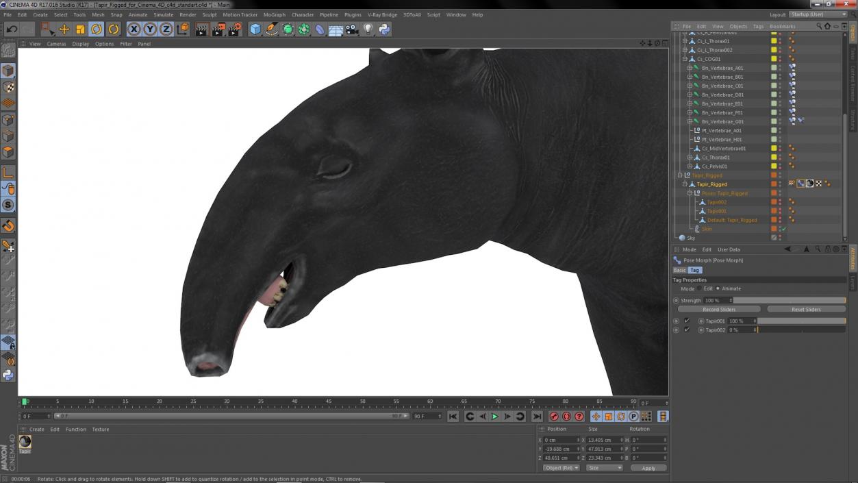 3D Tapir Rigged for Cinema 4D