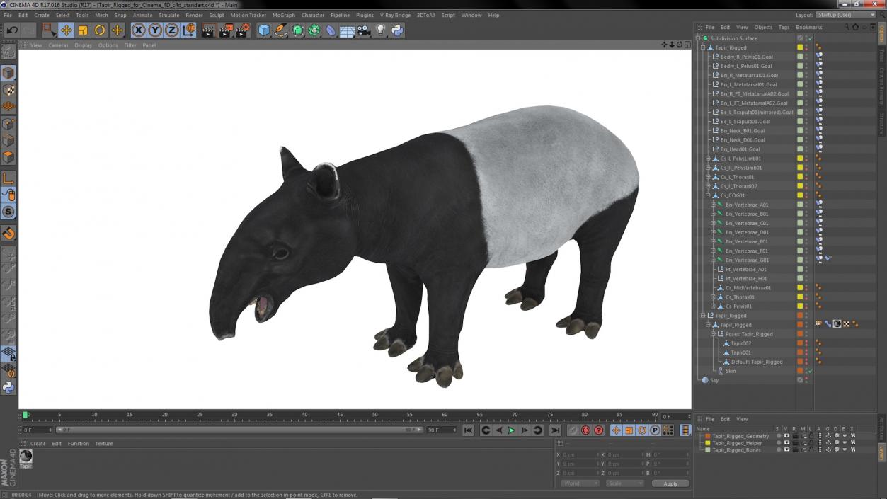 3D Tapir Rigged for Cinema 4D