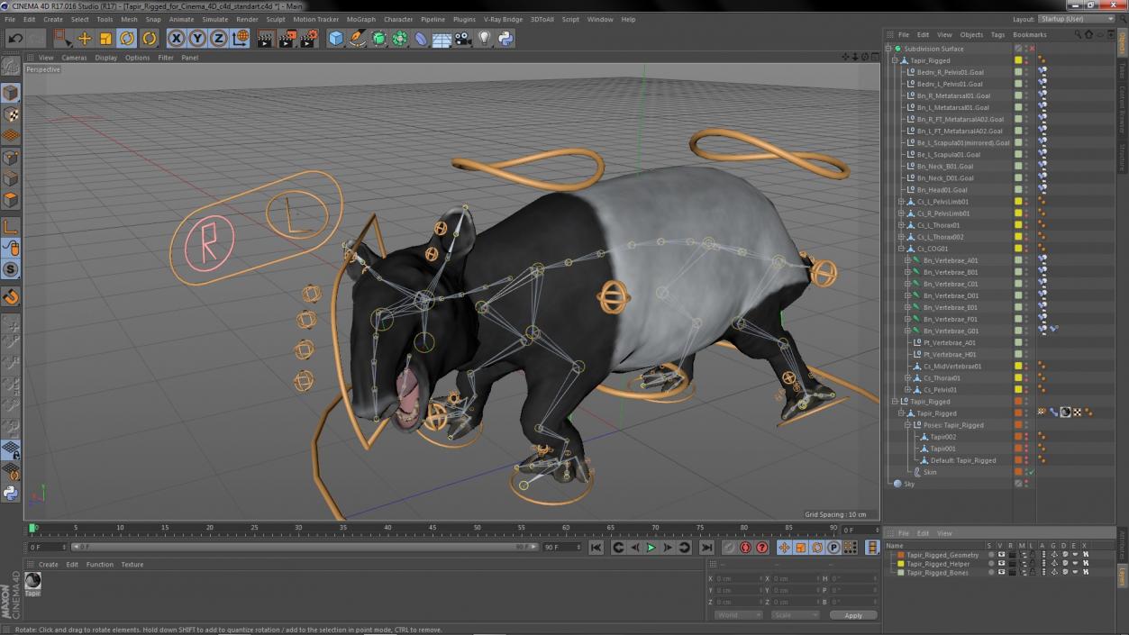 3D Tapir Rigged for Cinema 4D