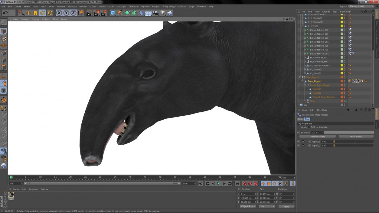 3D Tapir Rigged for Cinema 4D