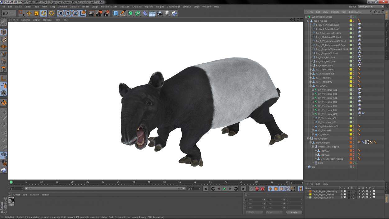 3D Tapir Rigged for Cinema 4D