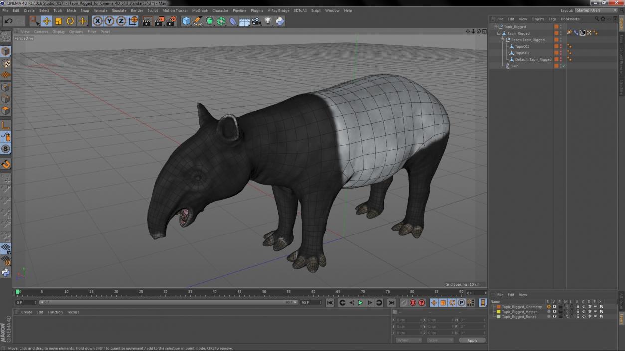 3D Tapir Rigged for Cinema 4D