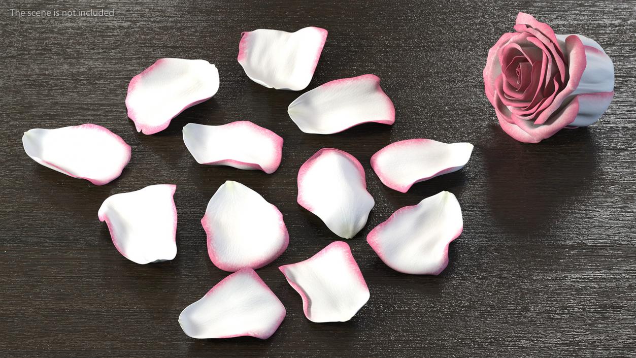 3D Rose Petals Pink