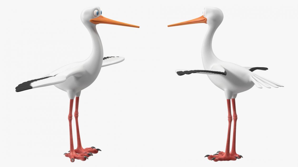 3D Stork Cartoon model