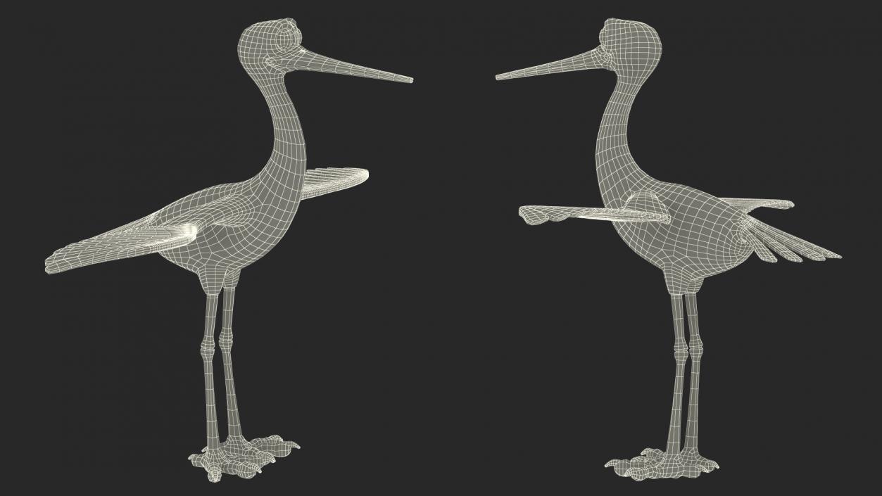 3D Stork Cartoon model