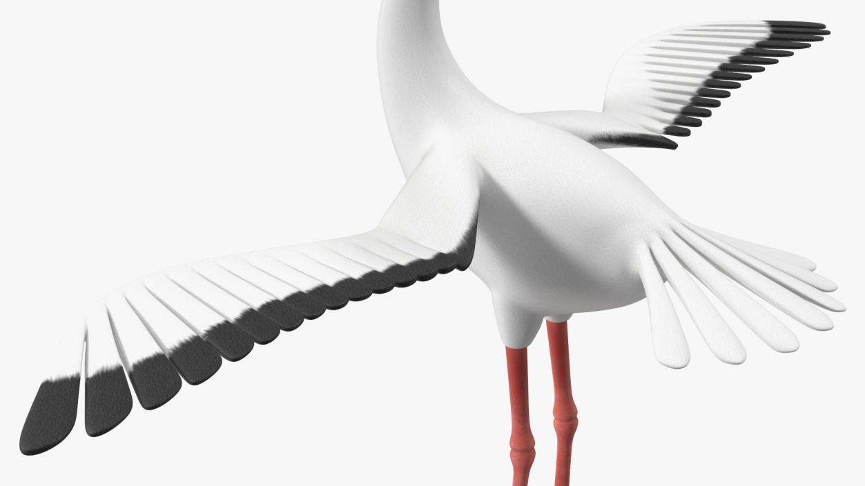 3D Stork Cartoon model