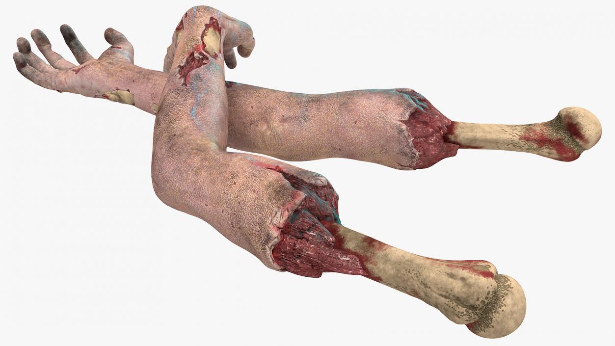 3D Scary Zombie Hands model