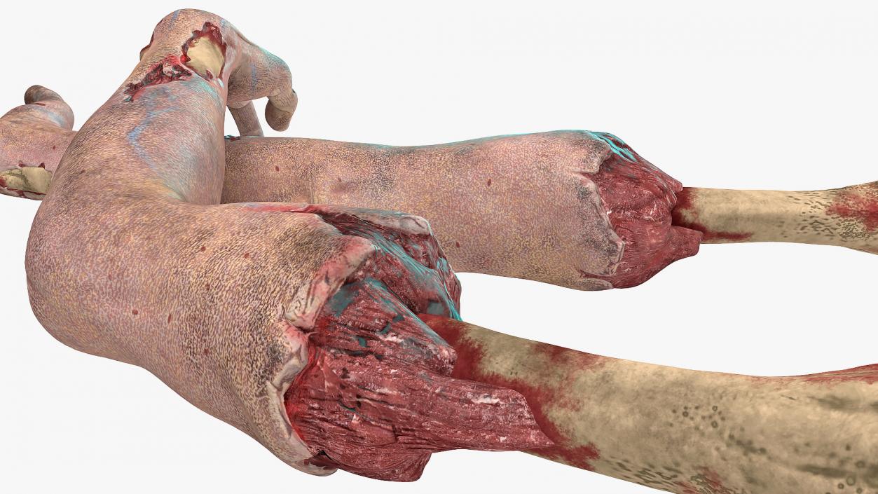 3D Scary Zombie Hands model