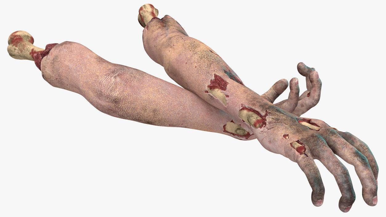 3D Scary Zombie Hands model