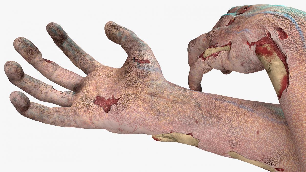 3D Scary Zombie Hands model