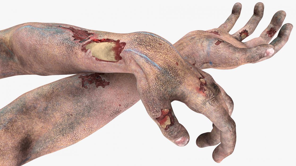 3D Scary Zombie Hands model