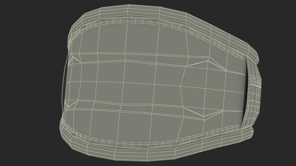 3D Kitesurf Belt model