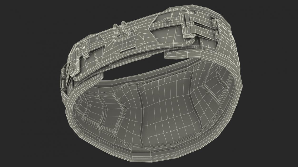 3D Kitesurf Belt model