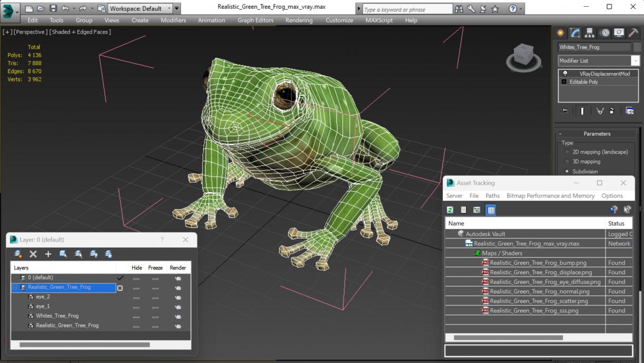 3D model Realistic Green Tree Frog