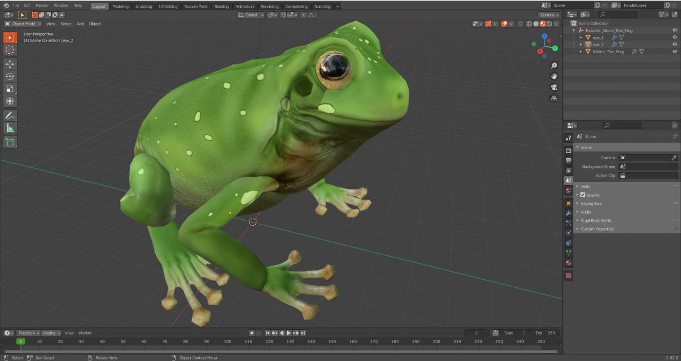 3D model Realistic Green Tree Frog