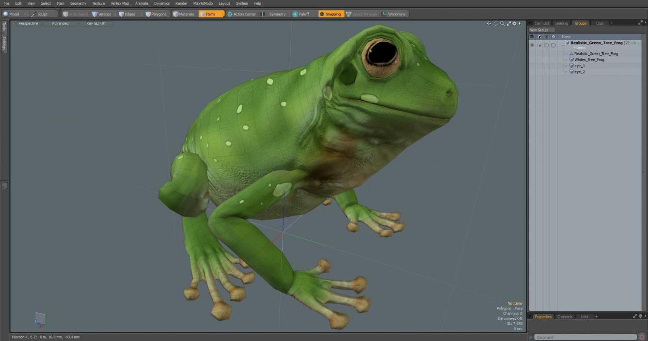 3D model Realistic Green Tree Frog