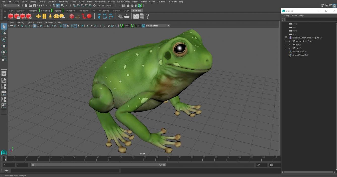 3D model Realistic Green Tree Frog