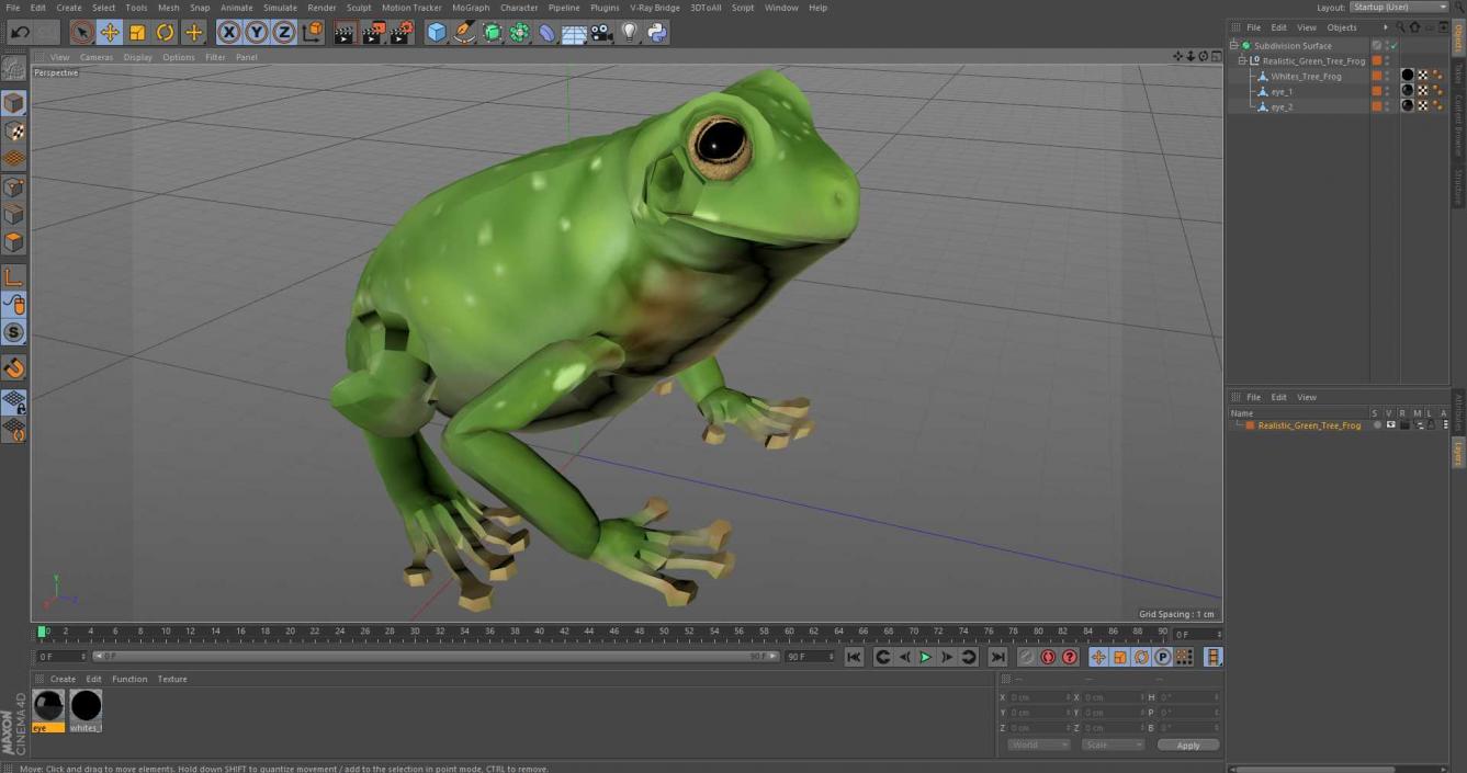 3D model Realistic Green Tree Frog