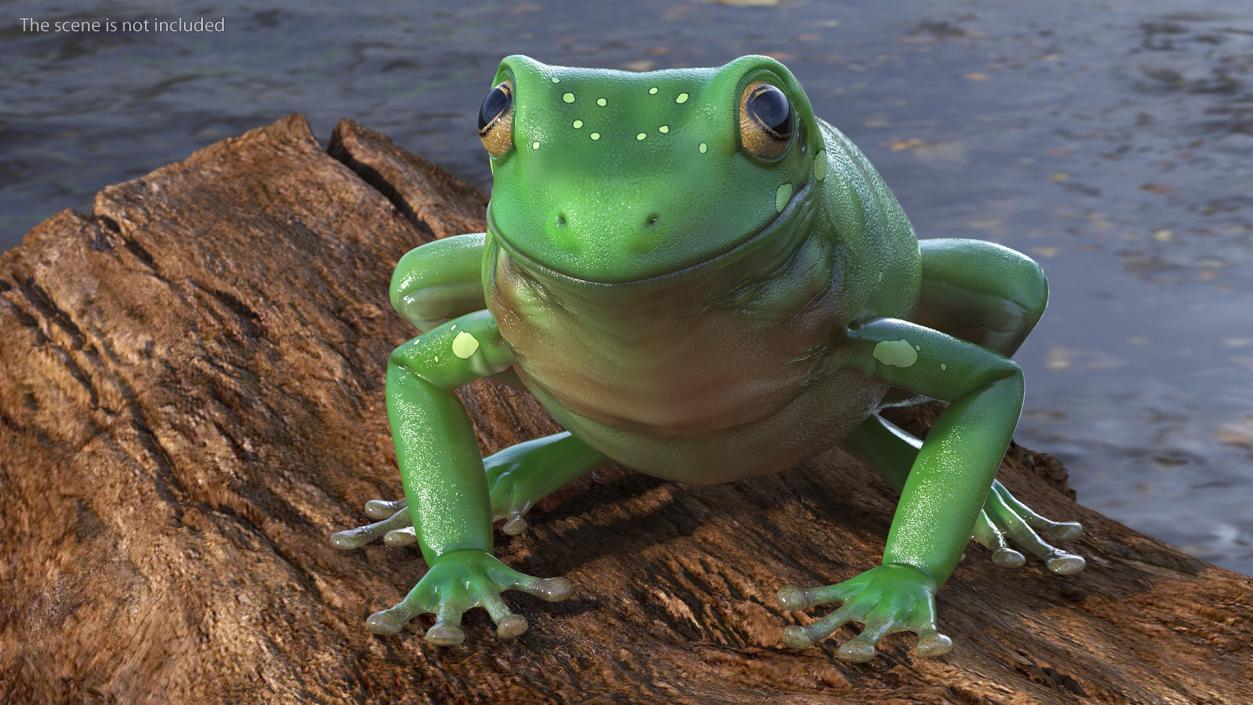 3D model Realistic Green Tree Frog