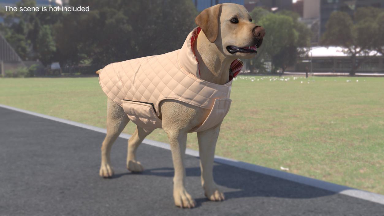 Dog Coat Beige 3D model