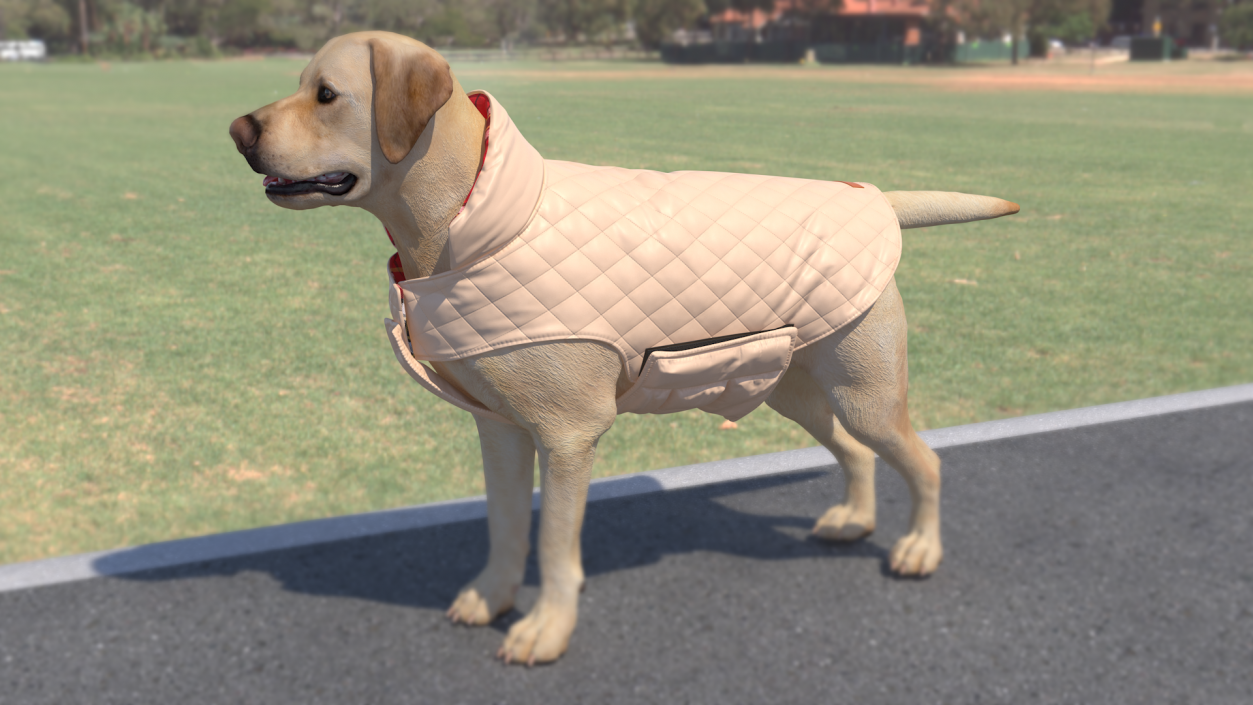 Dog Coat Beige 3D model