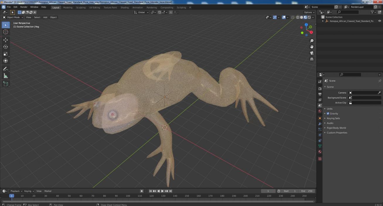 3D Xenopus African Clawed Toad Standard Pose